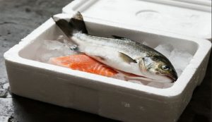 How-EPS-Foam-is-Revolutionizing-Cold-Chain-Logistics2