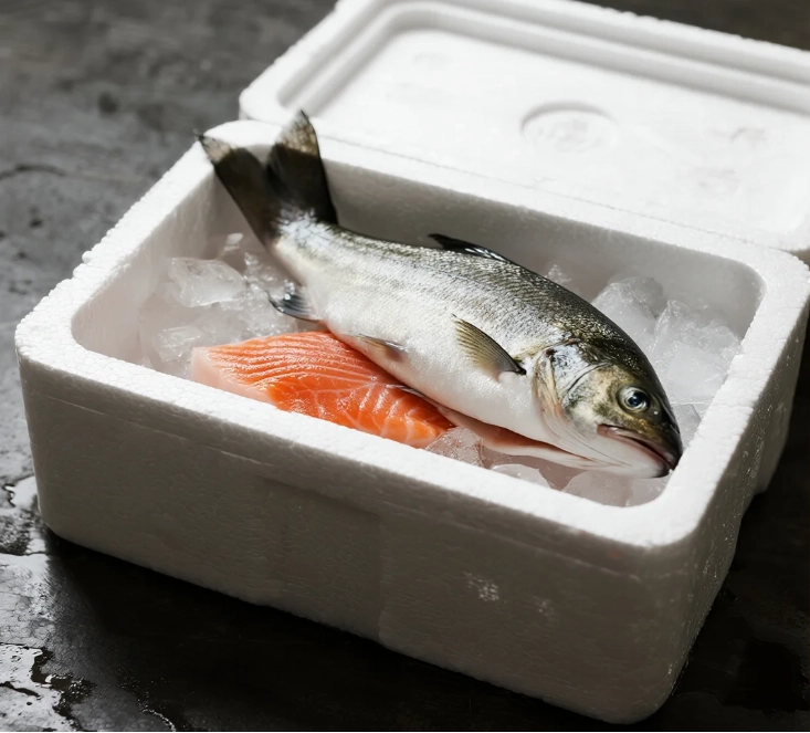 EPS packaging for cold chain transportation