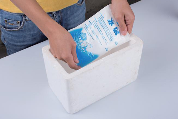 Boîte logistique FrostSafe