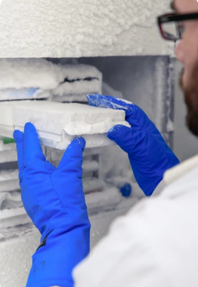 Where Are Expanded Polystyrene Products Commonly Used