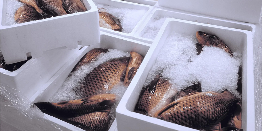 Cold Chain Boxes, Food Packaging, and Seafood Transport