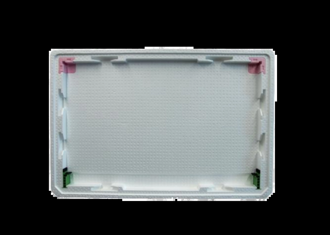 Molded REPS tray
